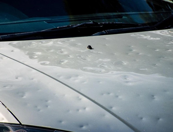 Best Hail Damage Repair Services in Denton, TX